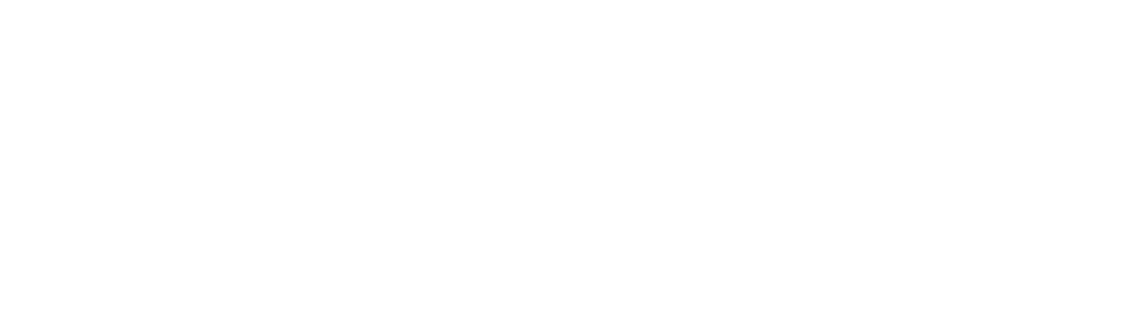 NetLine